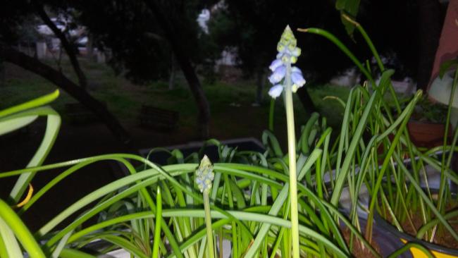 Name:  20160228_174119.jpg
Views: 352
Size:  37.2 KB
