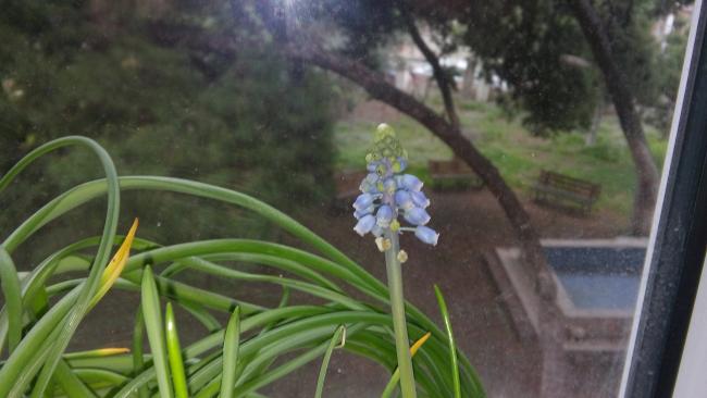 Name:  20160302_135407.jpg
Views: 338
Size:  32.8 KB