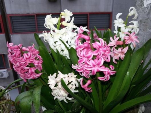 Name:  20160302_161220.jpg
Views: 493
Size:  39.2 KB
