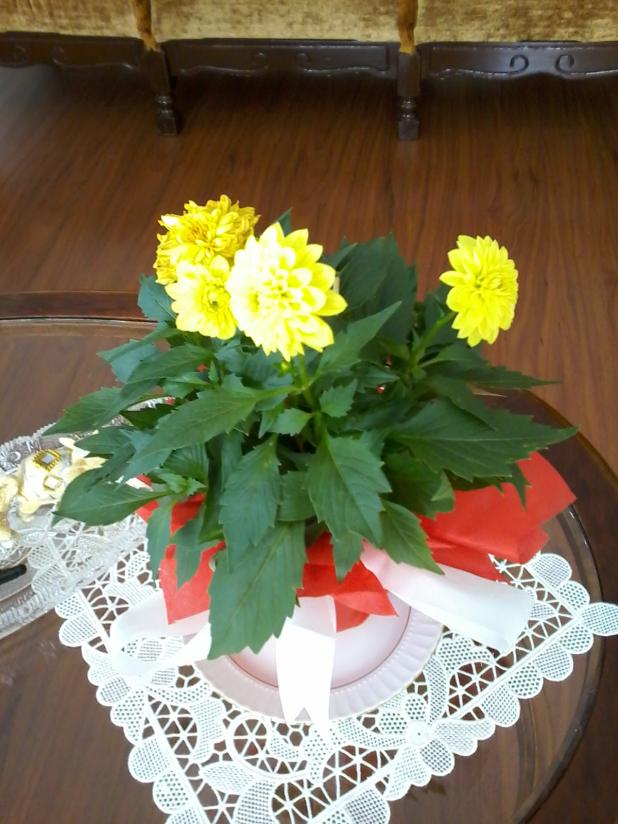 Name:  Naddide tlf 006.jpg
Views: 442
Size:  71.7 KB