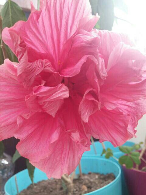 Name:  uploadfromtaptalk1457808249238.jpg
Views: 411
Size:  34.3 KB