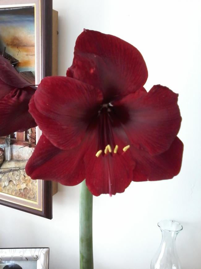 Name:  Naddide tlf 004.jpg
Views: 399
Size:  45.0 KB