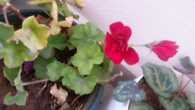 Name:  2016-03-15-08-36-02-591.jpg
Views: 169
Size:  28.7 KB