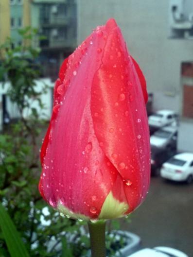 Name:  20160314_133347.jpg
Views: 397
Size:  26.7 KB