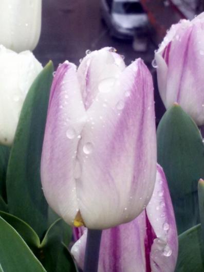Name:  20160314_133324.jpg
Views: 380
Size:  22.7 KB