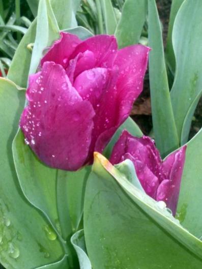 Name:  20160314_133617.jpg
Views: 974
Size:  30.4 KB