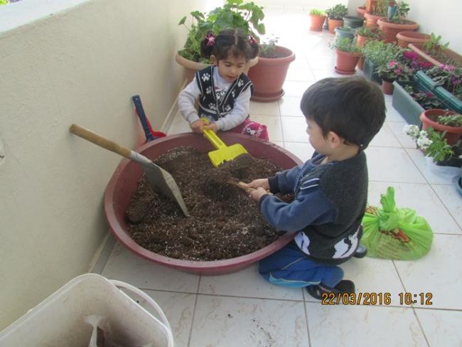 Name:  IMG_2678.jpg
Views: 780
Size:  41.9 KB