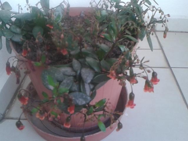 Name:  20160219_073906.jpg
Views: 1012
Size:  33.6 KB
