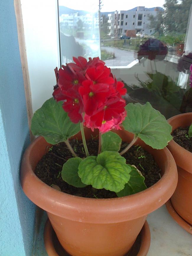 Name:  Fotoraf3473.jpg
Views: 640
Size:  64.5 KB