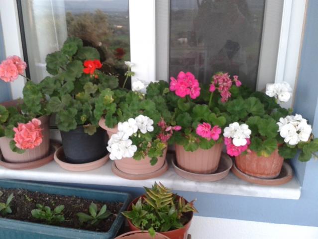 Name:  20160229_070301.jpg
Views: 660
Size:  41.3 KB