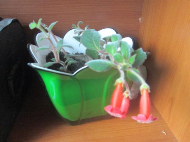 Name:  IMG_5517.jpg
Views: 224
Size:  29.6 KB