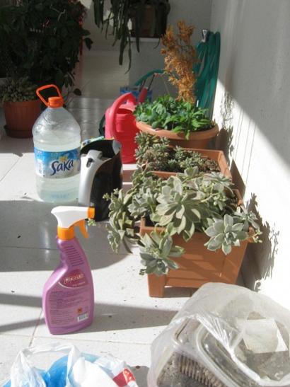 Name:  karklk1.jpg
Views: 462
Size:  36.8 KB
