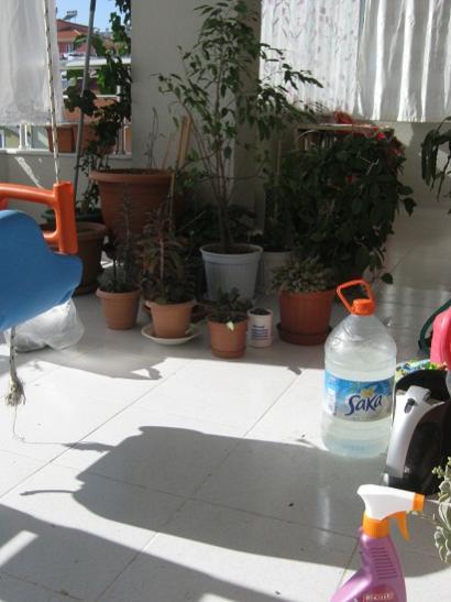 Name:  karklk2.jpg
Views: 452
Size:  33.0 KB