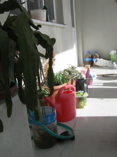 Name:  karklk4.jpg
Views: 462
Size:  27.1 KB