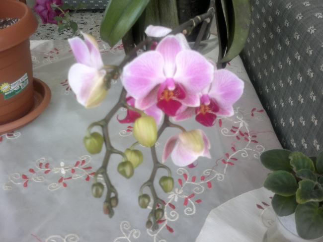 Name:  050420164128.jpg
Views: 339
Size:  38.1 KB