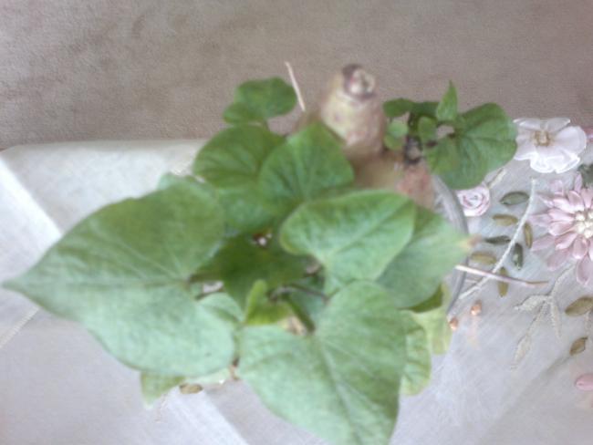 Name:  090420164172.jpg
Views: 335
Size:  29.2 KB