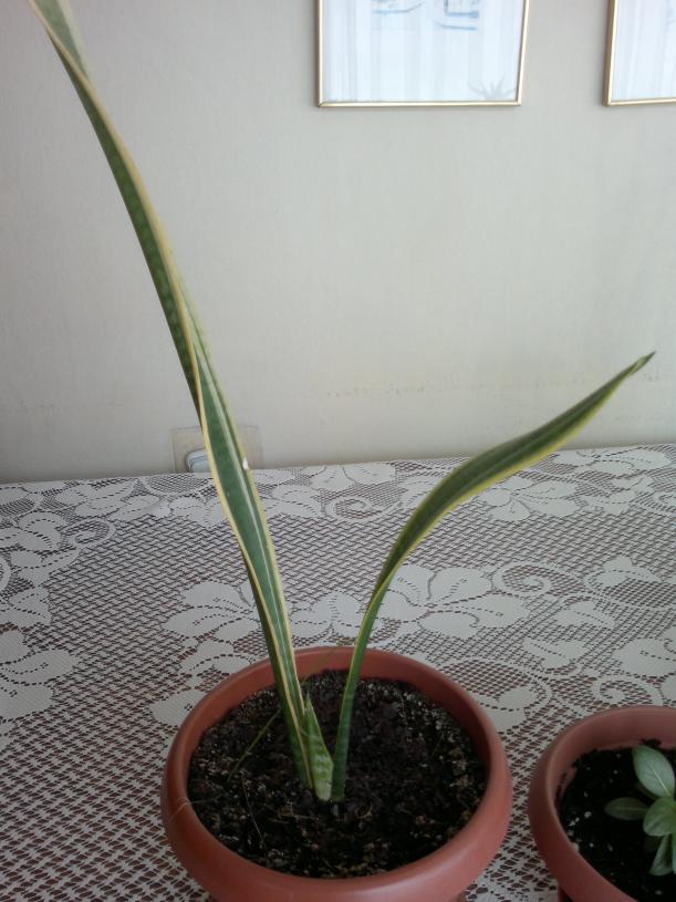 Name:  090420164193.jpg
Views: 360
Size:  70.7 KB