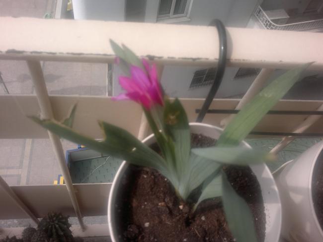 Name:  190320164075.jpg
Views: 304
Size:  28.4 KB