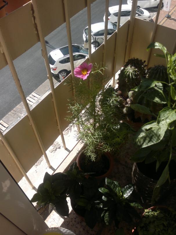 Name:  050320164028.jpg
Views: 318
Size:  71.4 KB