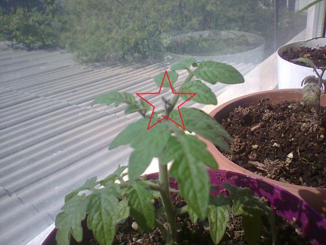 Name:  Fotoraf3547.jpg
Views: 592
Size:  51.0 KB