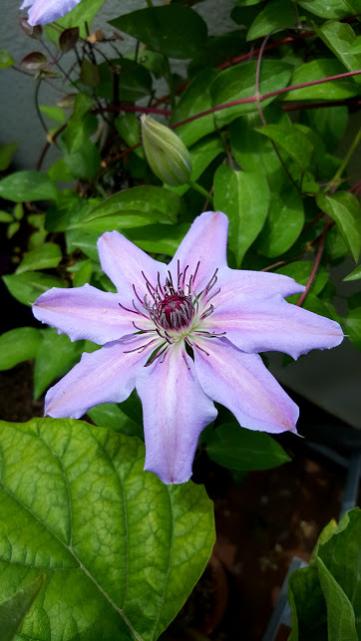 Name:  20160415_120123.jpg
Views: 352
Size:  35.6 KB