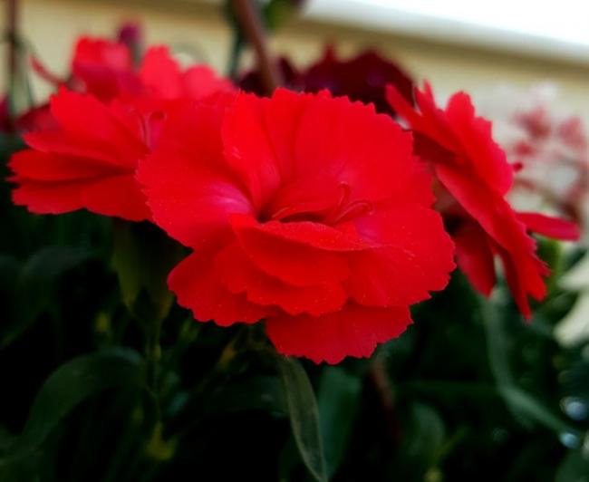 Name:  20160415_190411.jpg
Views: 356
Size:  25.8 KB