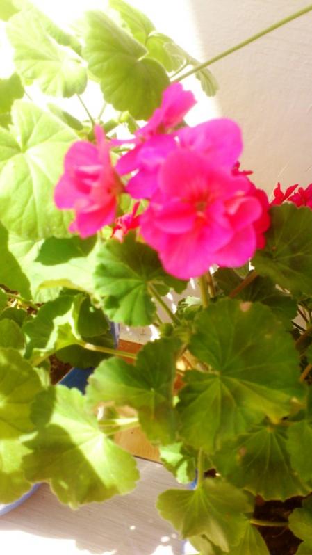 Name:  047.jpg
Views: 309
Size:  42.4 KB