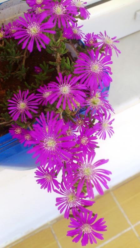 Name:  045.jpg
Views: 308
Size:  56.5 KB