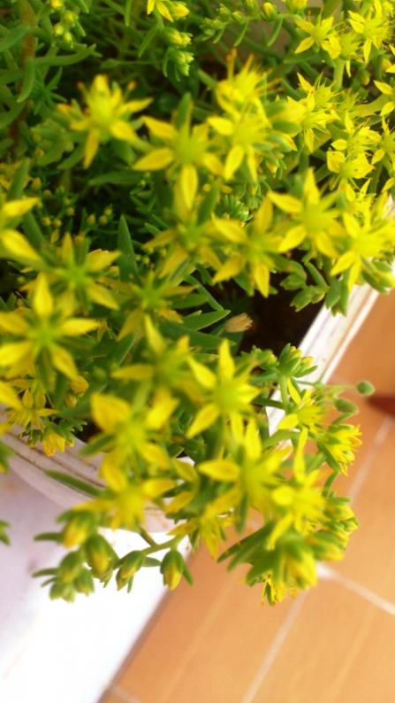 Name:  042.jpg
Views: 506
Size:  53.5 KB