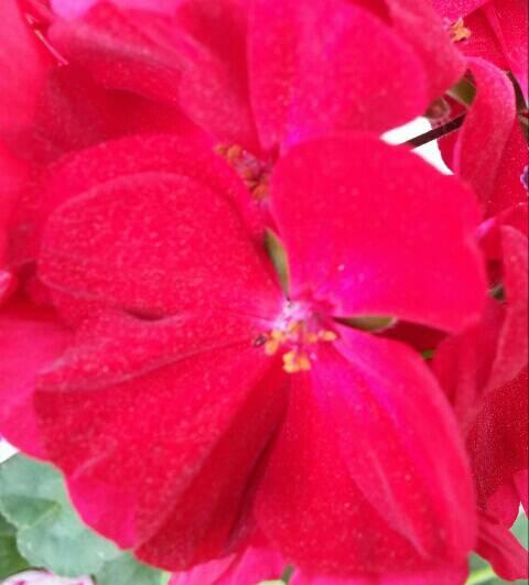 Name:  uploadfromtaptalk1461406146629.jpg
Views: 451
Size:  26.6 KB