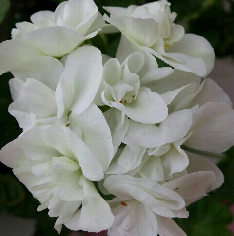 Name:  uploadfromtaptalk1461406268858.jpg
Views: 714
Size:  34.7 KB