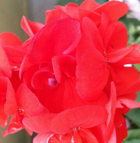 Name:  uploadfromtaptalk1461406290670.jpg
Views: 660
Size:  23.3 KB