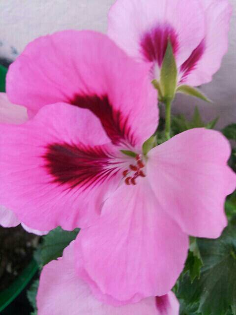 Name:  uploadfromtaptalk1461406368935.jpg
Views: 442
Size:  25.7 KB