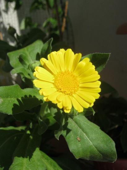 Name:  aynsafa.jpg
Views: 821
Size:  24.4 KB