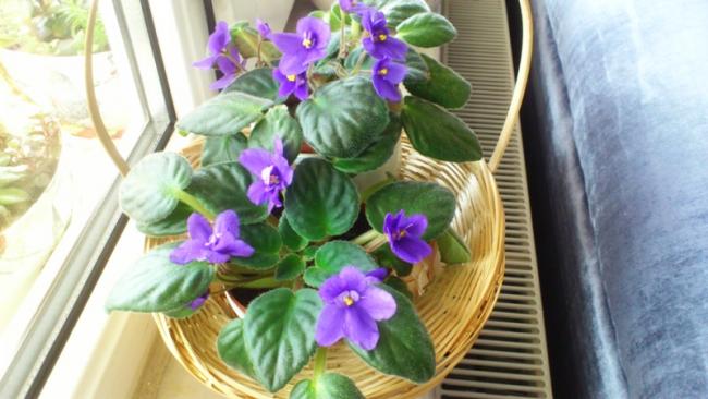 Name:  022.jpg
Views: 373
Size:  41.1 KB