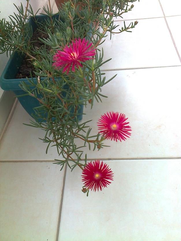 Name:  Fotoraf3667.jpg
Views: 600
Size:  70.7 KB