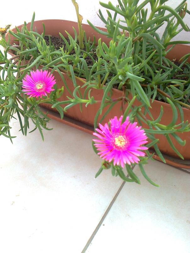 Name:  Fotoraf3668.jpg
Views: 660
Size:  71.7 KB