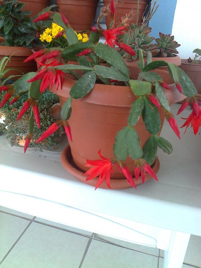 Name:  Fotoraf3691.jpg
Views: 607
Size:  67.5 KB