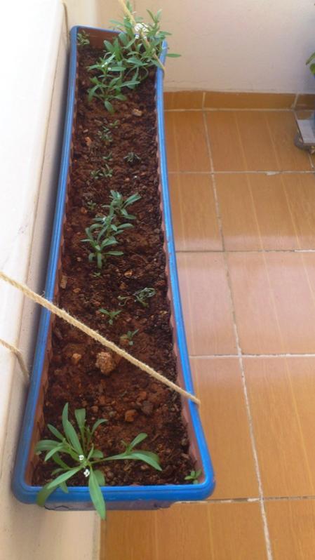 Name:  045.jpg
Views: 364
Size:  44.1 KB