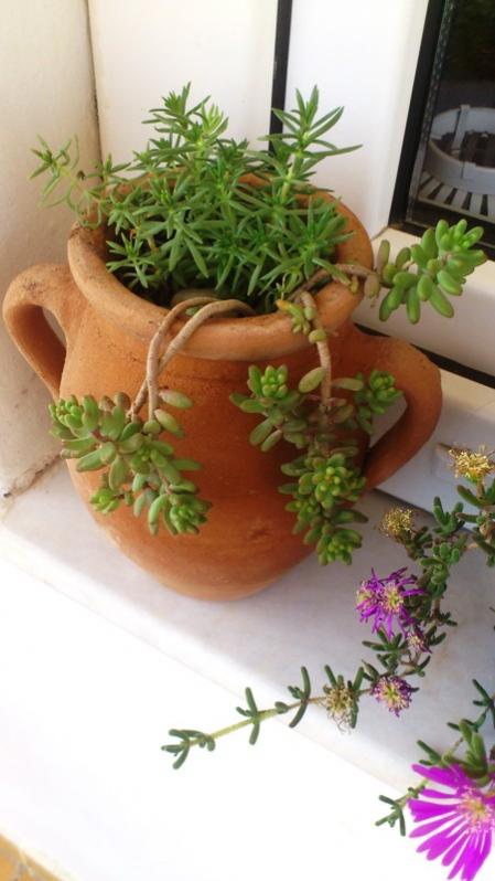 Name:  040.jpg
Views: 391
Size:  46.1 KB