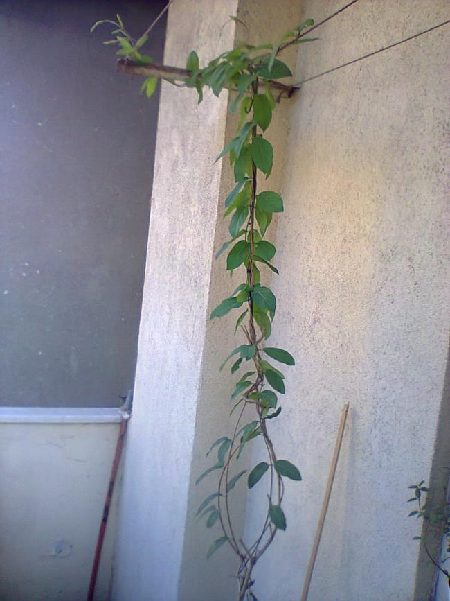Name:  Fotoraf3834.jpg
Views: 527
Size:  65.5 KB