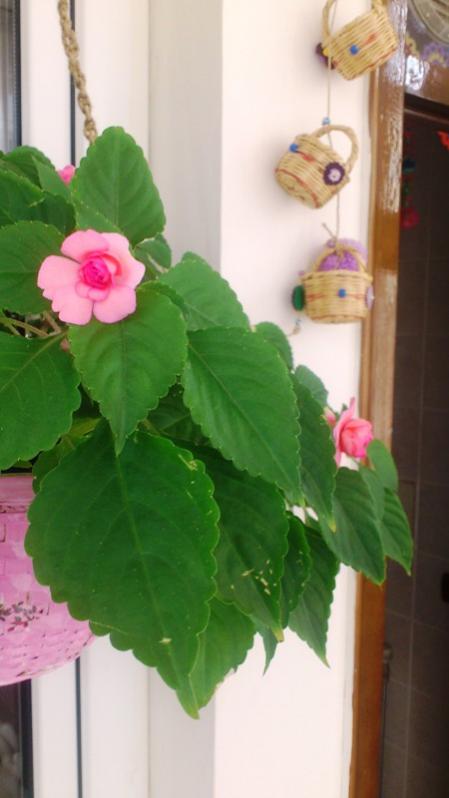 Name:  080.jpg
Views: 374
Size:  36.8 KB
