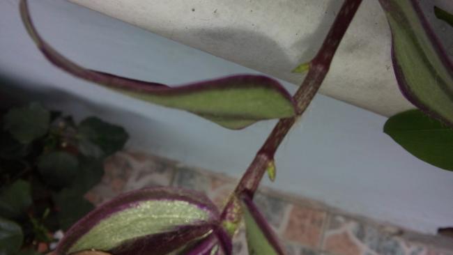 Name:  20160426_114409.jpg
Views: 436
Size:  20.3 KB
