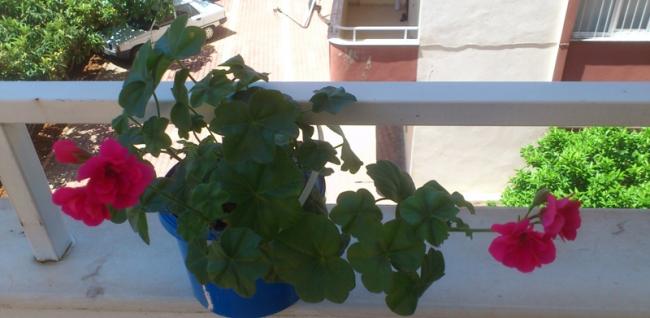 Name:  045.jpg
Views: 353
Size:  31.2 KB