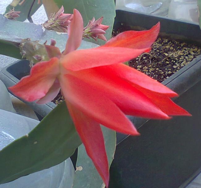 Name:  11-10.05.2016.jpg
Views: 364
Size:  45.5 KB