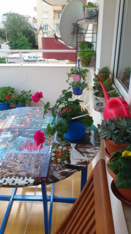 Name:  086.jpg
Views: 303
Size:  58.1 KB
