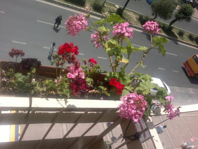 Name:  110520164502.jpg
Views: 441
Size:  52.8 KB
