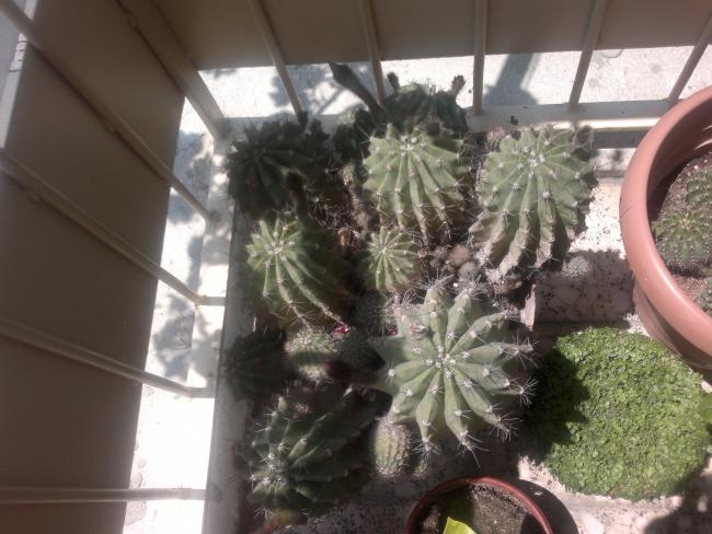 Name:  110520164504.jpg
Views: 432
Size:  49.2 KB
