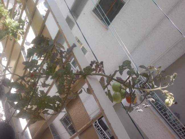 Name:  110520164511.jpg
Views: 431
Size:  43.7 KB
