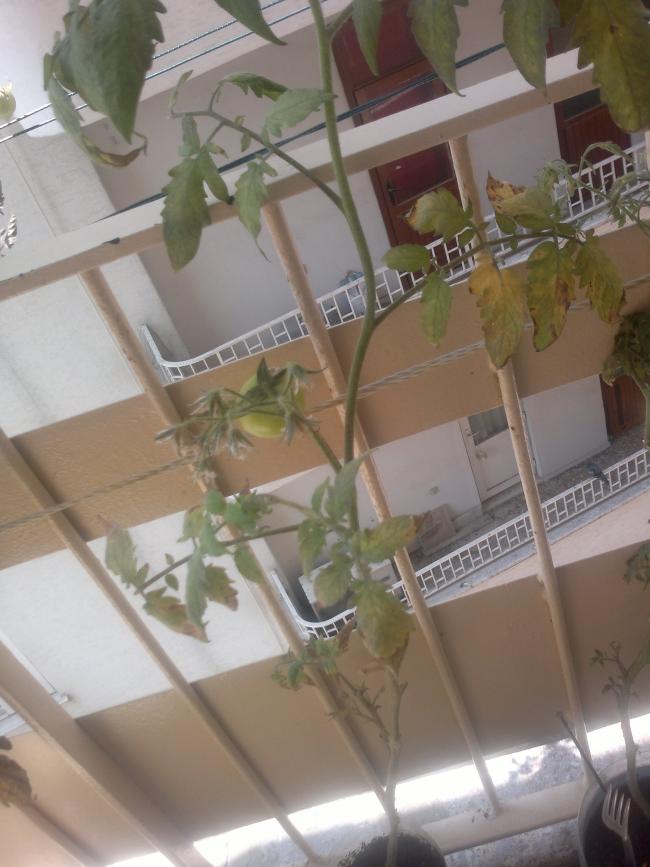 Name:  110520164514.jpg
Views: 412
Size:  62.0 KB
